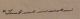 Victory, Buck : Death Certificate Reverse